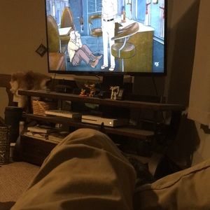 Meet your Posher, Leonard